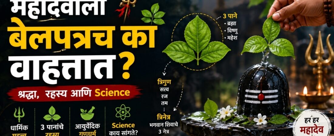 काय आहे महादेवाला बेल वाहण्याची योग्य पद्धत | शिवाला बेलपत्र का वाहतात? 🌿🔱 | श्रद्धा, पौराणिक महत्त्व आणि Science जाणून घ्या